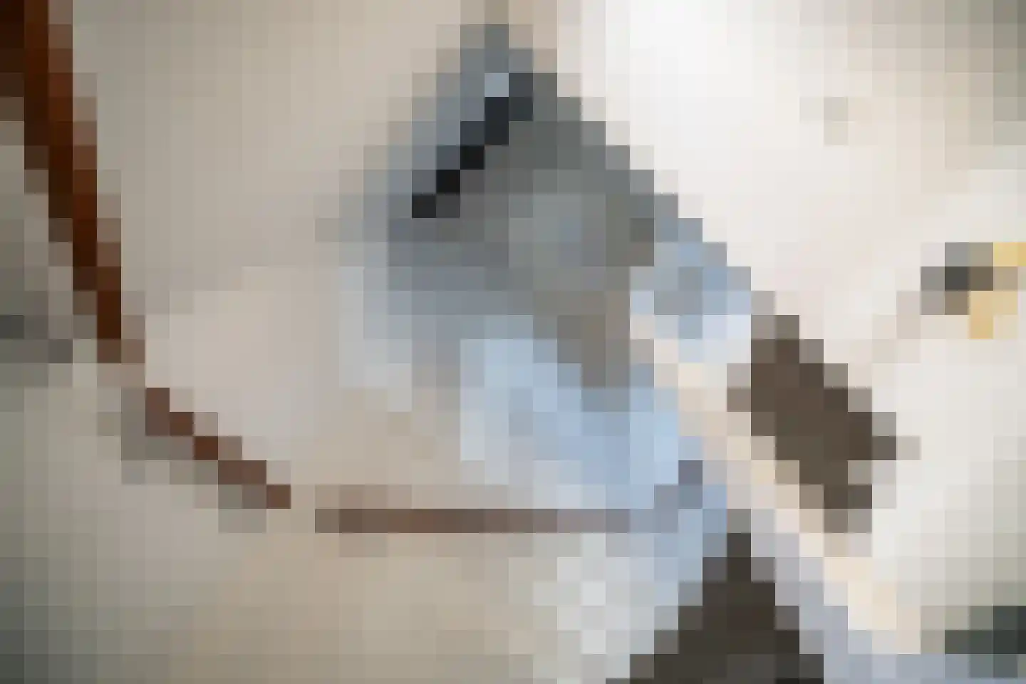 Laantje van Kempen 8 Den Haag thumbnail 63
