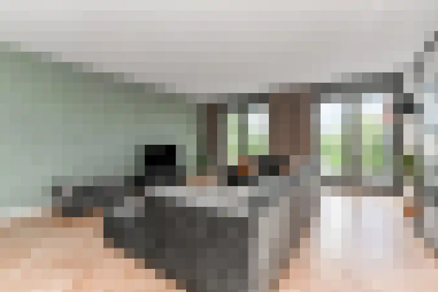 Laantje van Kempen 8 Den Haag thumbnail 7