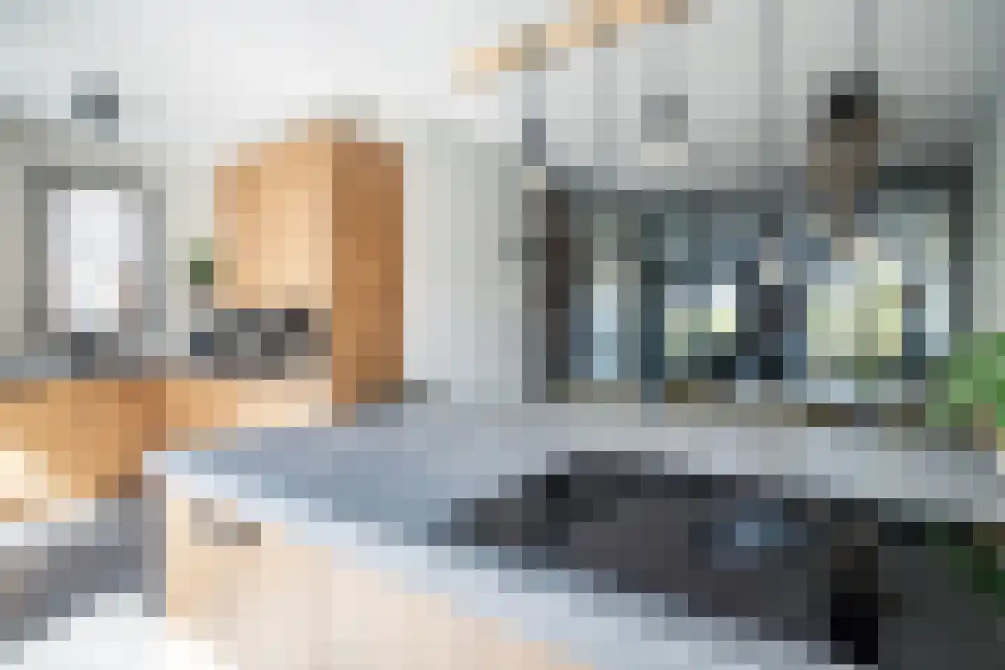 Laantje van Kempen 8 Den Haag thumbnail 8