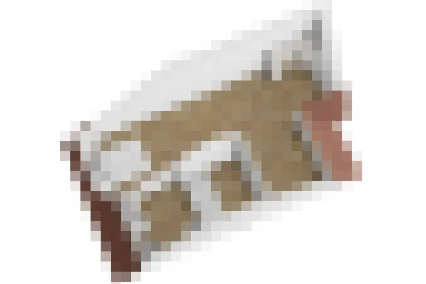 Laantje van Kempen 8 Den Haag thumbnail 81