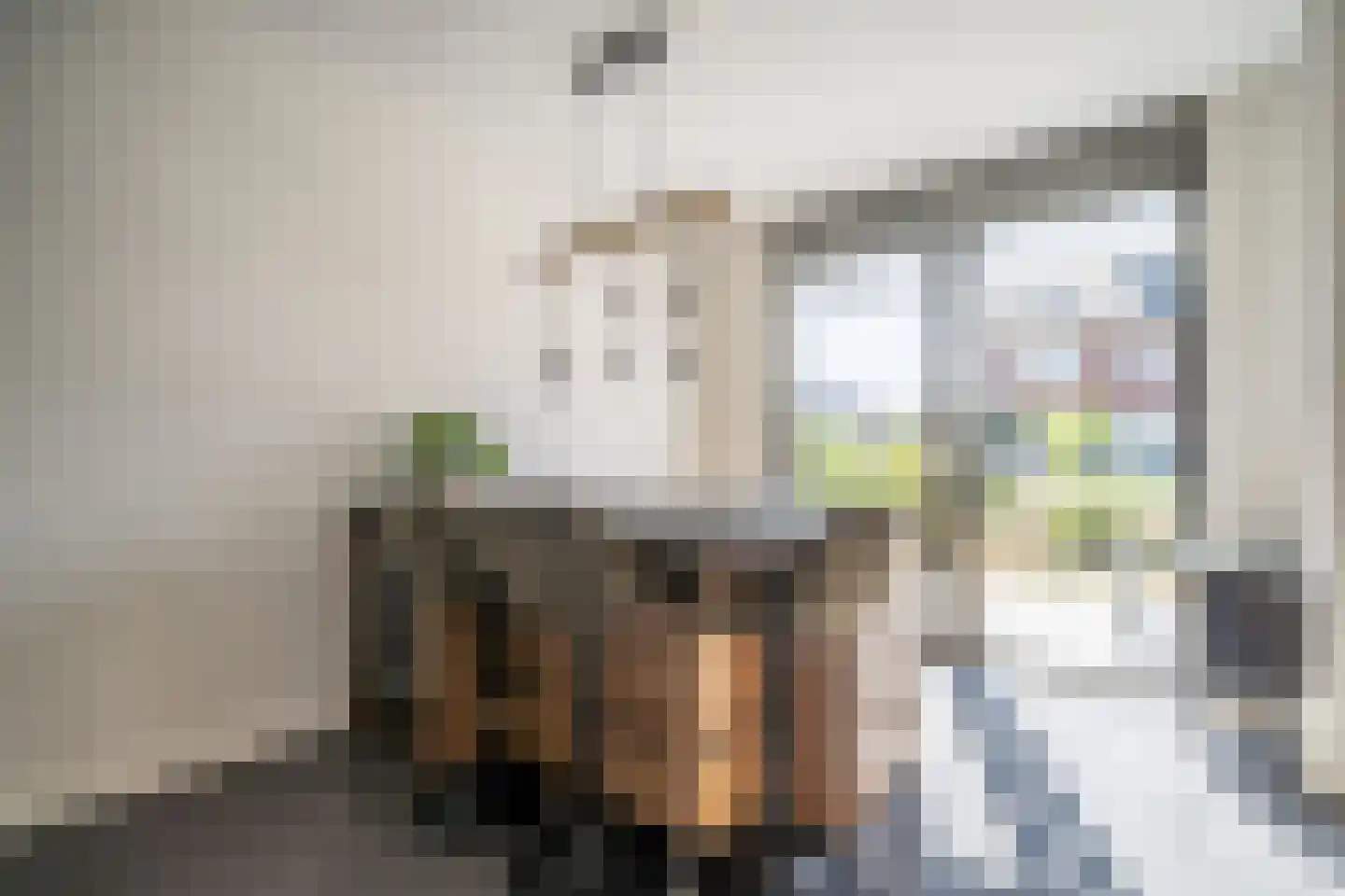 Laantje van Kempen 8 Den Haag thumbnail 9