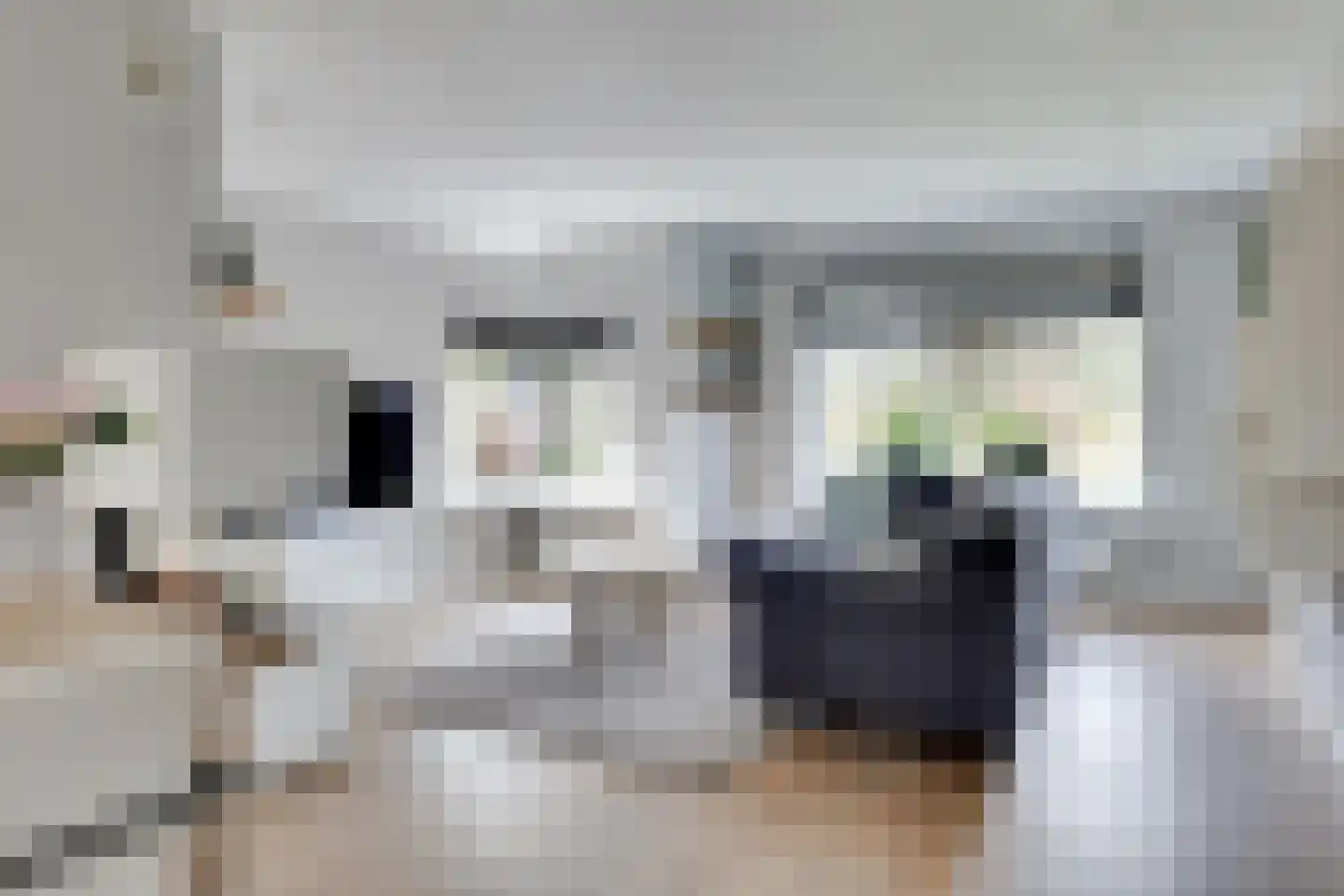 Laantje van Lasonder 15 Groenlo thumbnail 13