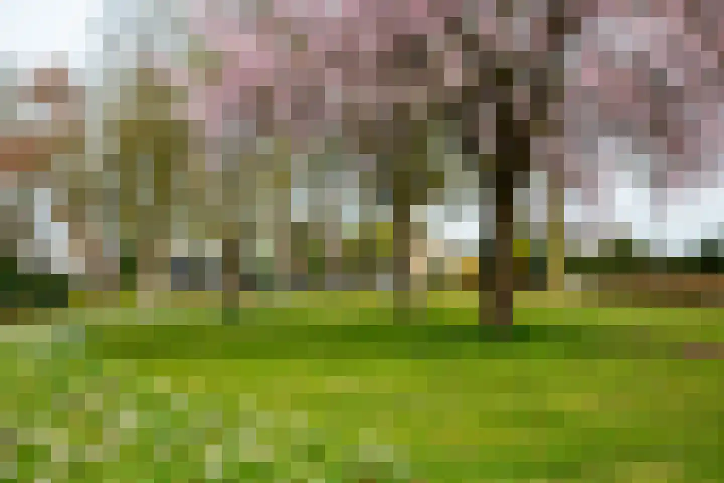 Laantje van Lasonder 15 Groenlo thumbnail 74
