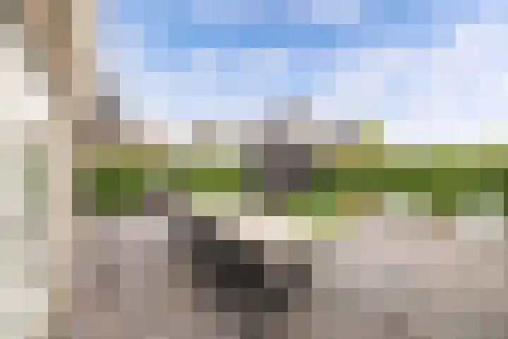 Laantje van Oversteegen 15 Blaricum thumbnail 16