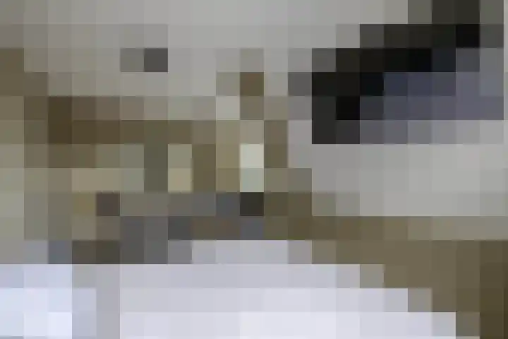 Laantje van Oversteegen 15 Blaricum thumbnail 22