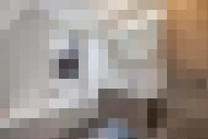 Laantje van Oversteegen 15 Blaricum thumbnail 29