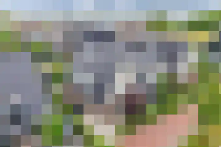 Laantje van Oversteegen 15 Blaricum thumbnail 38