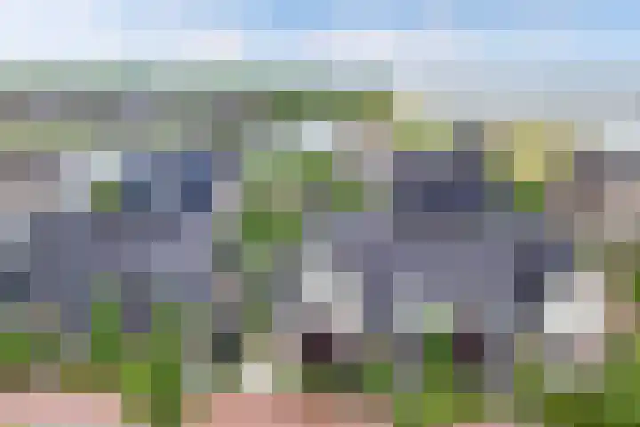 Laantje van Oversteegen 15 Blaricum thumbnail 39
