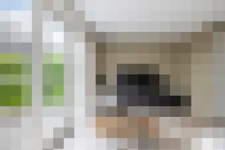 Laantje van Oversteegen 15 Blaricum thumbnail 9