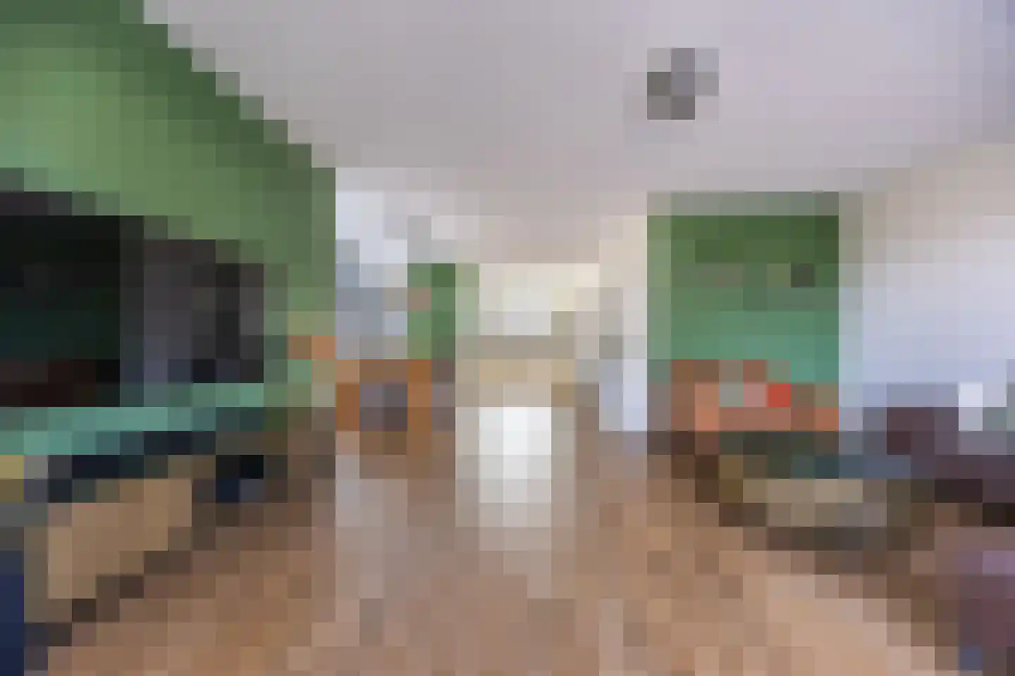 Laantje van Peel 22 Den Haag thumbnail 17