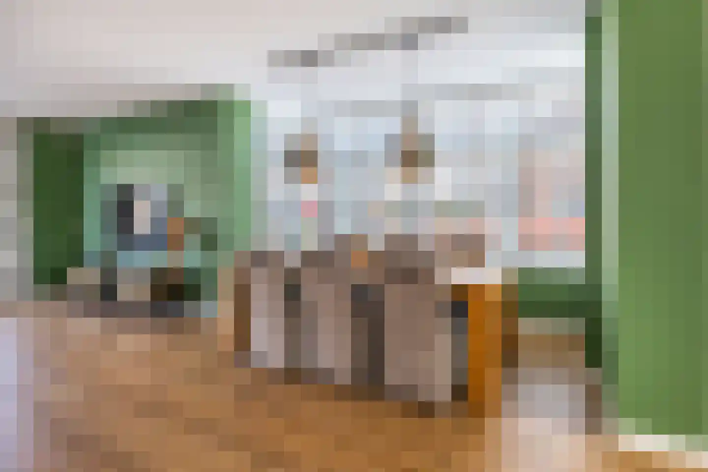 Laantje van Peel 22 Den Haag thumbnail 19