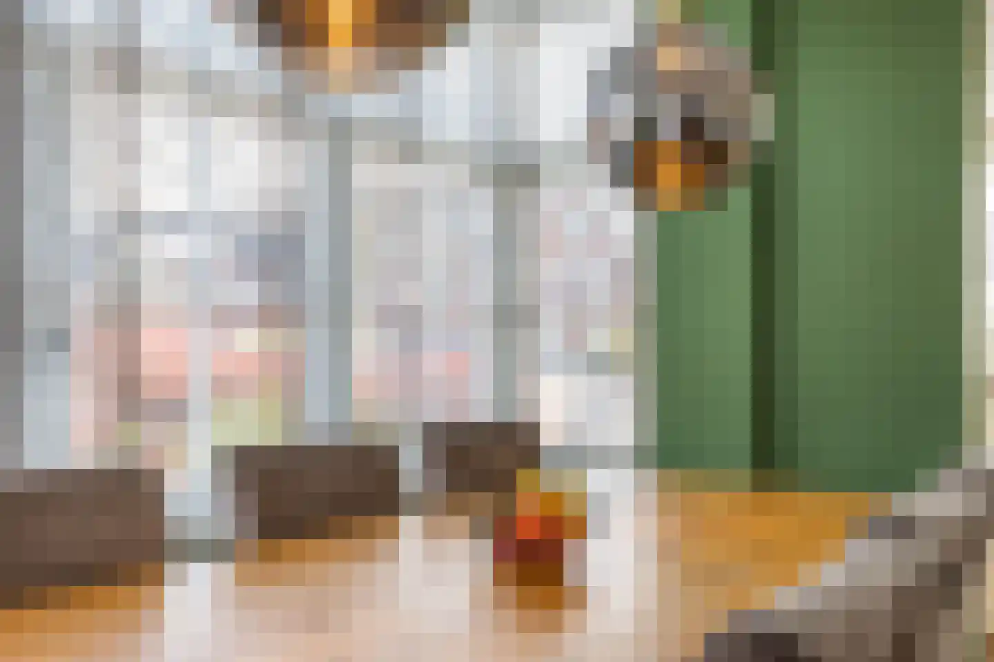 Laantje van Peel 22 Den Haag thumbnail 20