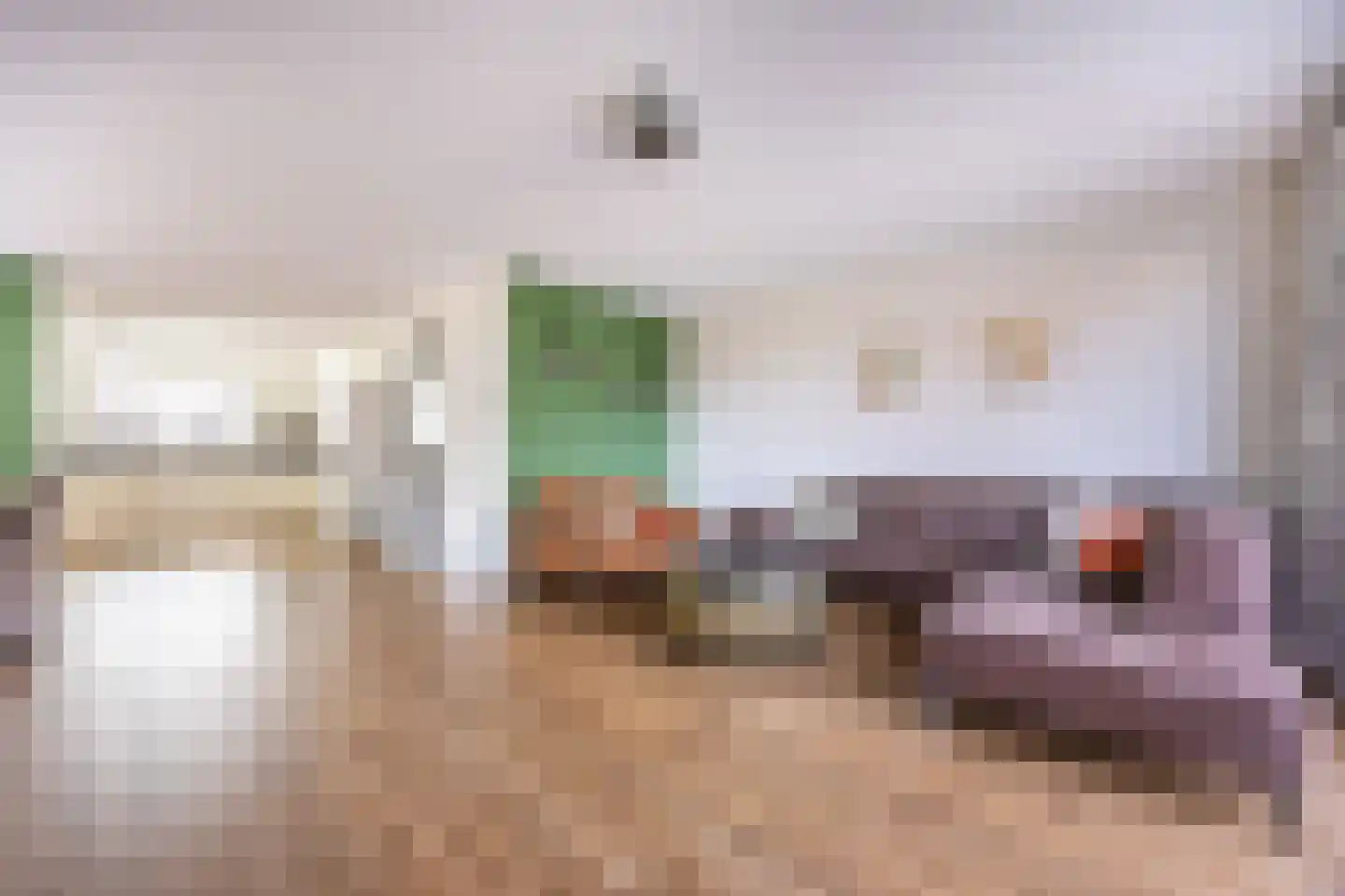 Laantje van Peel 22 Den Haag thumbnail 22