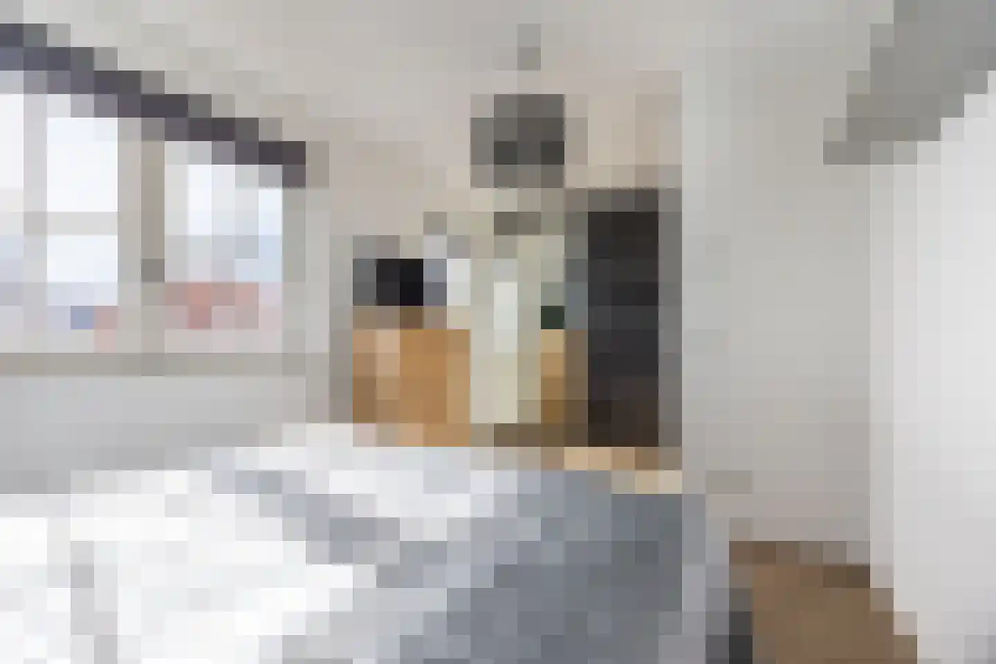 Laantje van Peel 22 Den Haag thumbnail 38