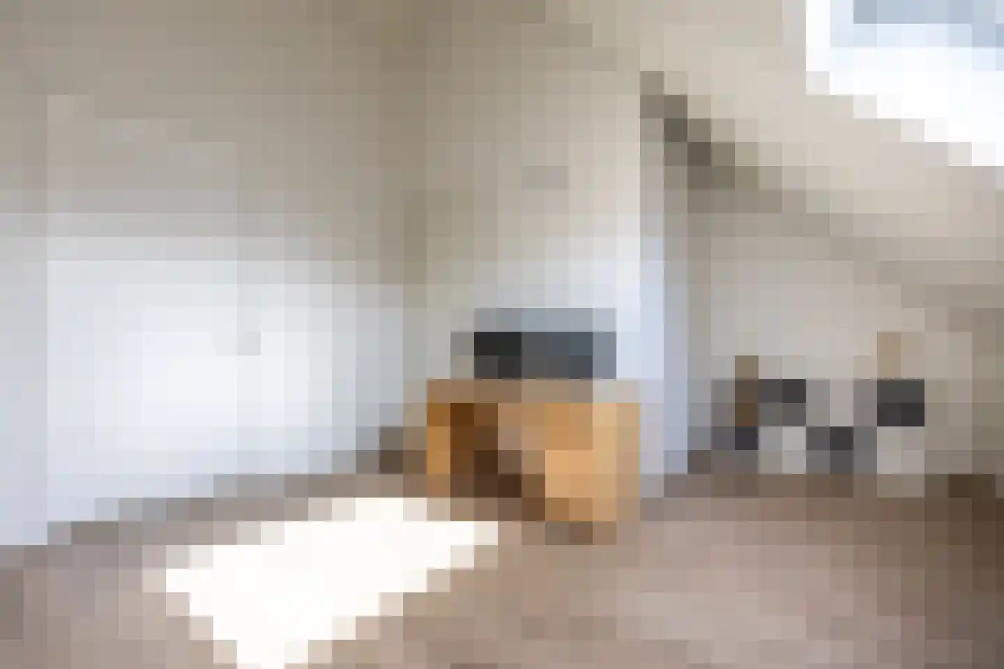 Laantje van Peel 22 Den Haag thumbnail 48