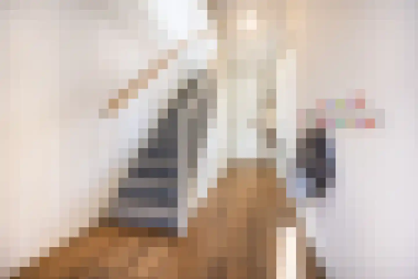Laantje van Peel 22 Den Haag thumbnail 7
