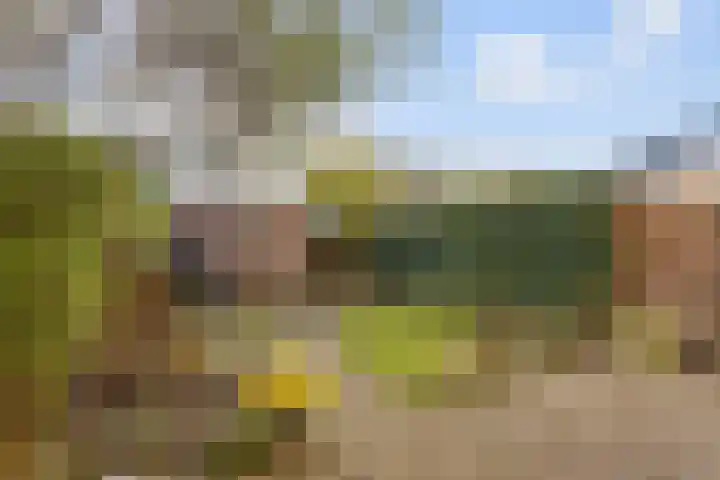 Laantje van Pieter Bas 3 Wageningen thumbnail 19