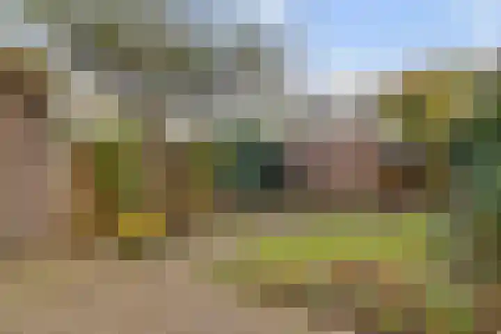 Laantje van Pieter Bas 3 Wageningen thumbnail 20