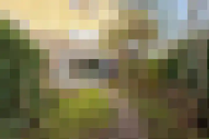 Laantje van Pieter Bas 3 Wageningen thumbnail 21