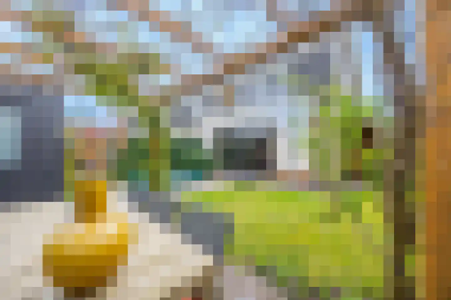 Laantje van Rigter 12 Blaricum thumbnail 31