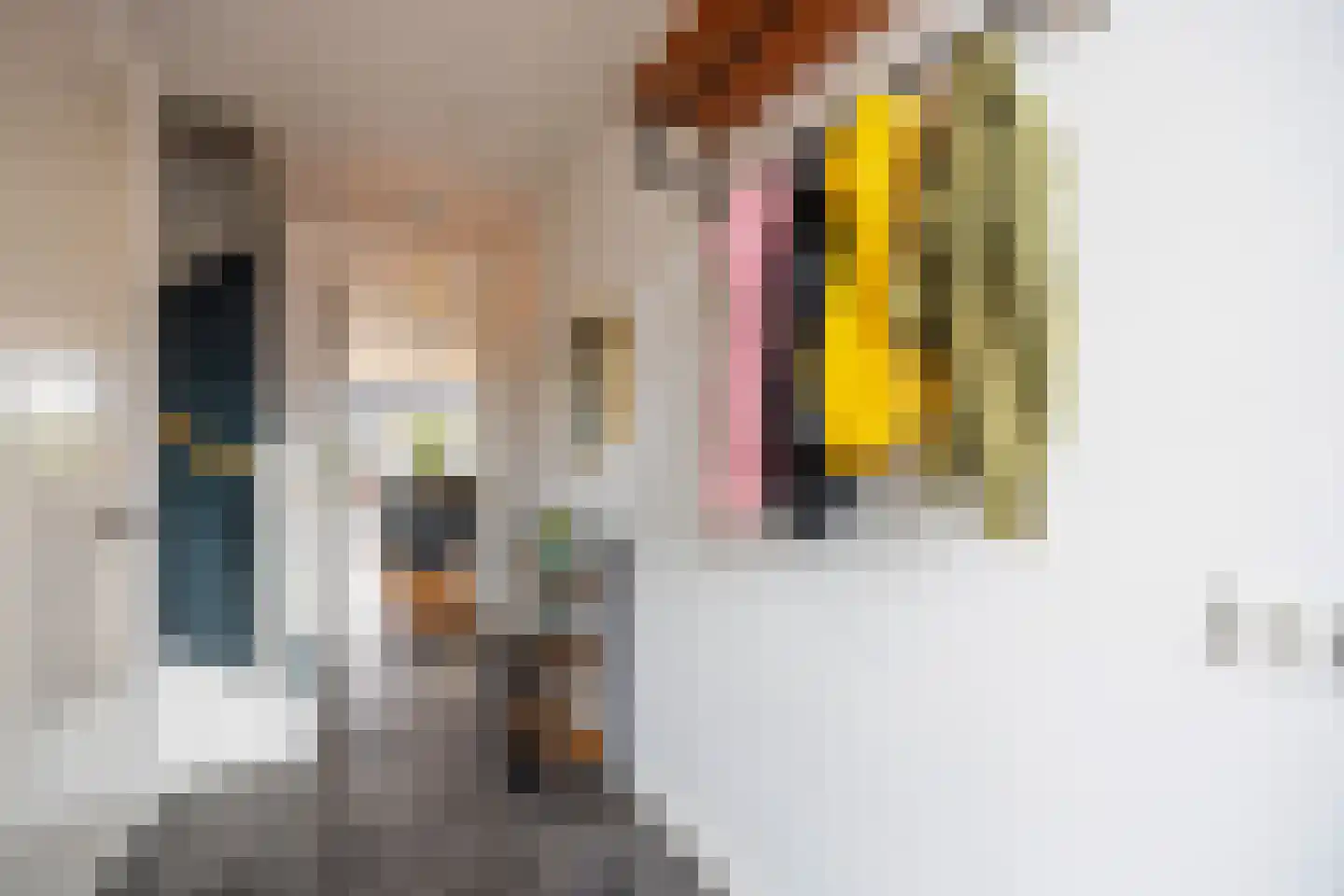 Laantje van Rigter 12 Blaricum thumbnail 32