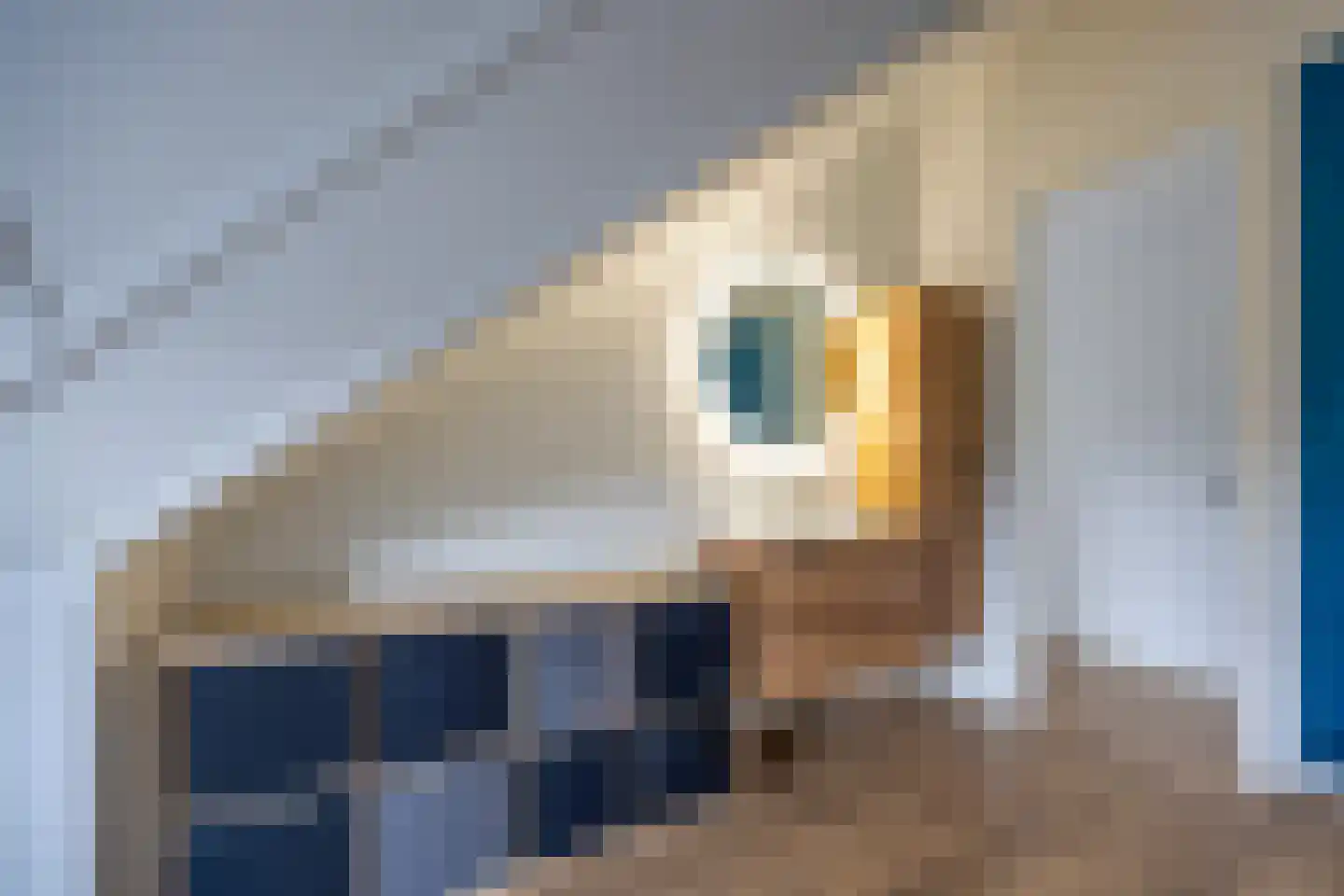 Laantje van Rigter 12 Blaricum thumbnail 53