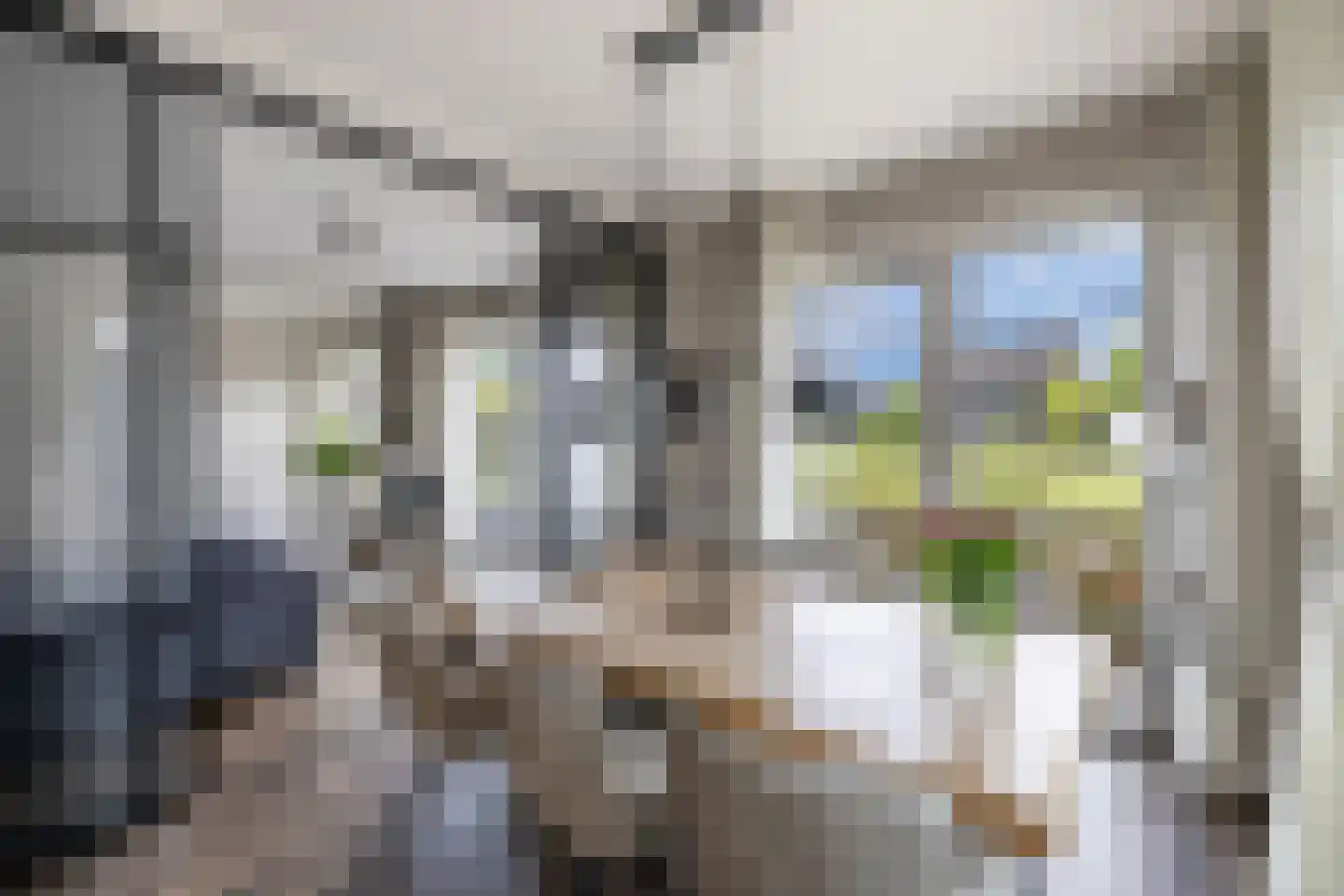 Laantje van Toonder 12 Blaricum thumbnail 12