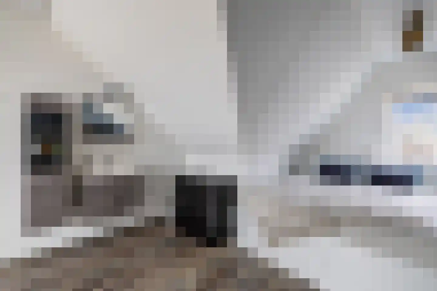 Laantje van Toonder 12 Blaricum thumbnail 32