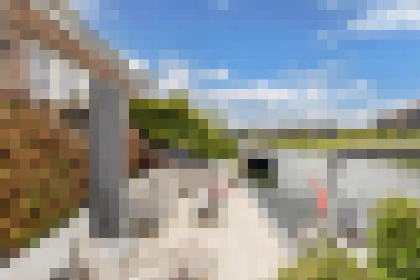 Laantje van Toonder 12 Blaricum thumbnail 41