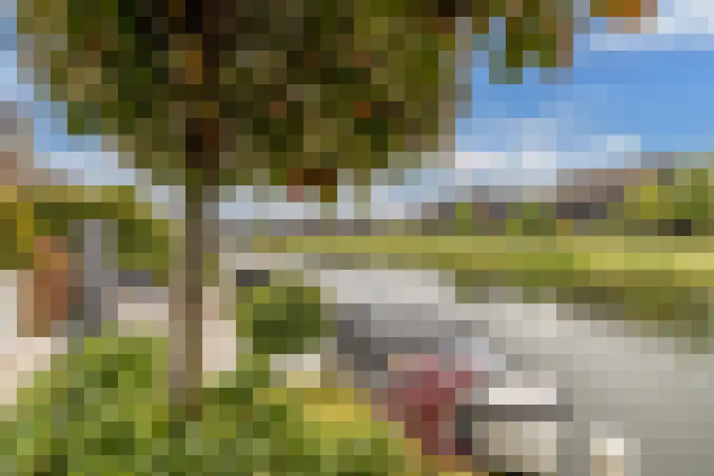 Laantje van Toonder 12 Blaricum thumbnail 42
