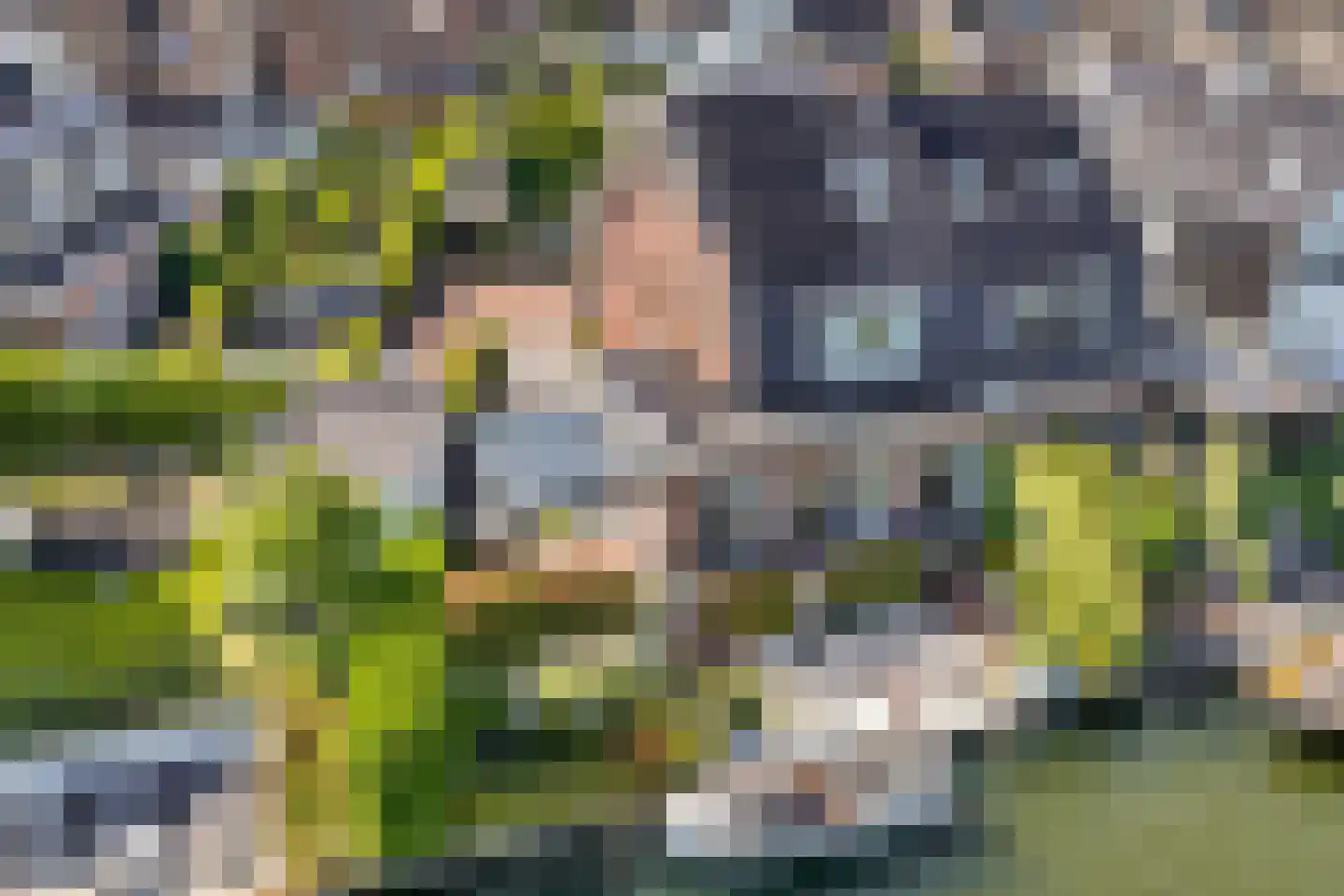 Laantje van Toonder 12 Blaricum thumbnail 47