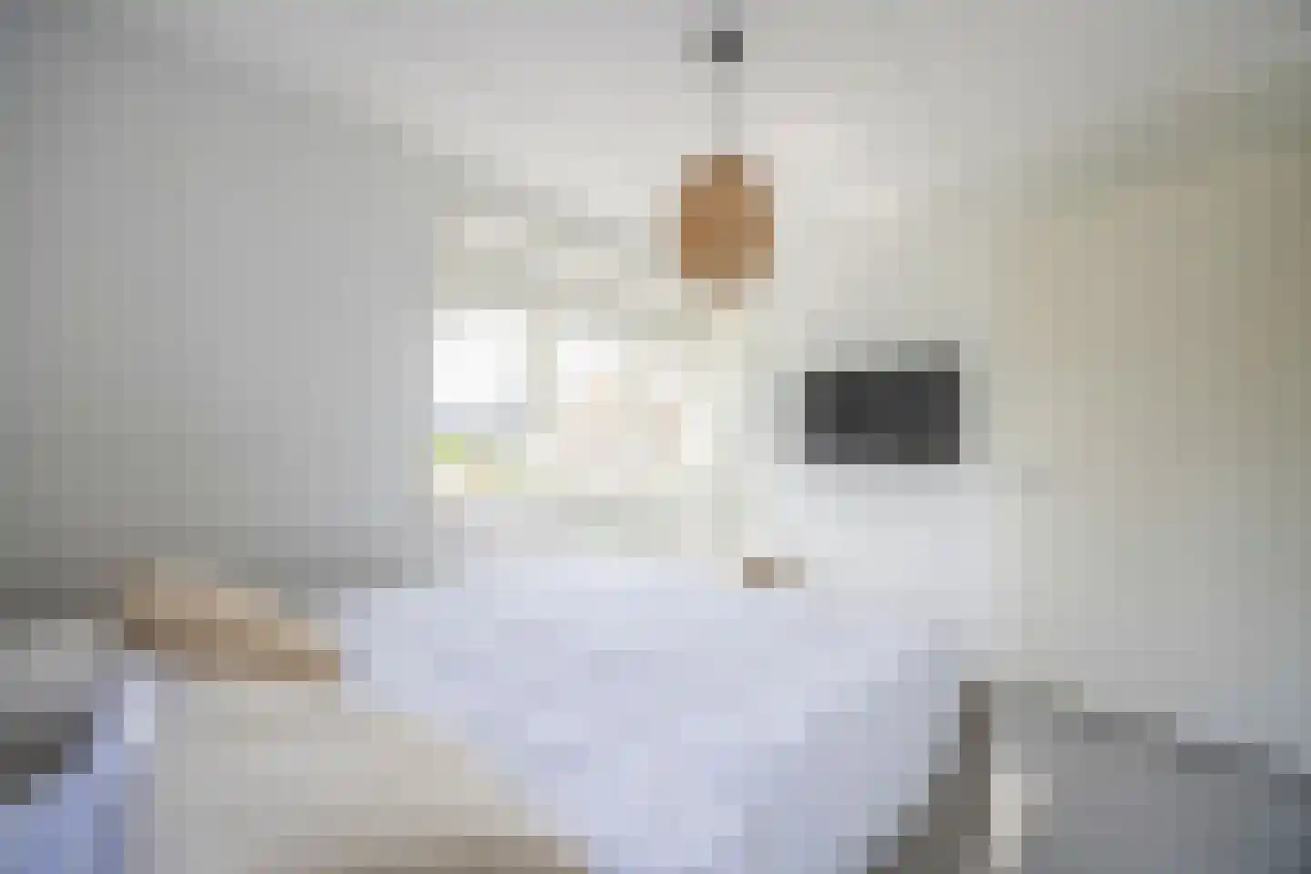 Laantje van Toonder 2 Blaricum thumbnail 27
