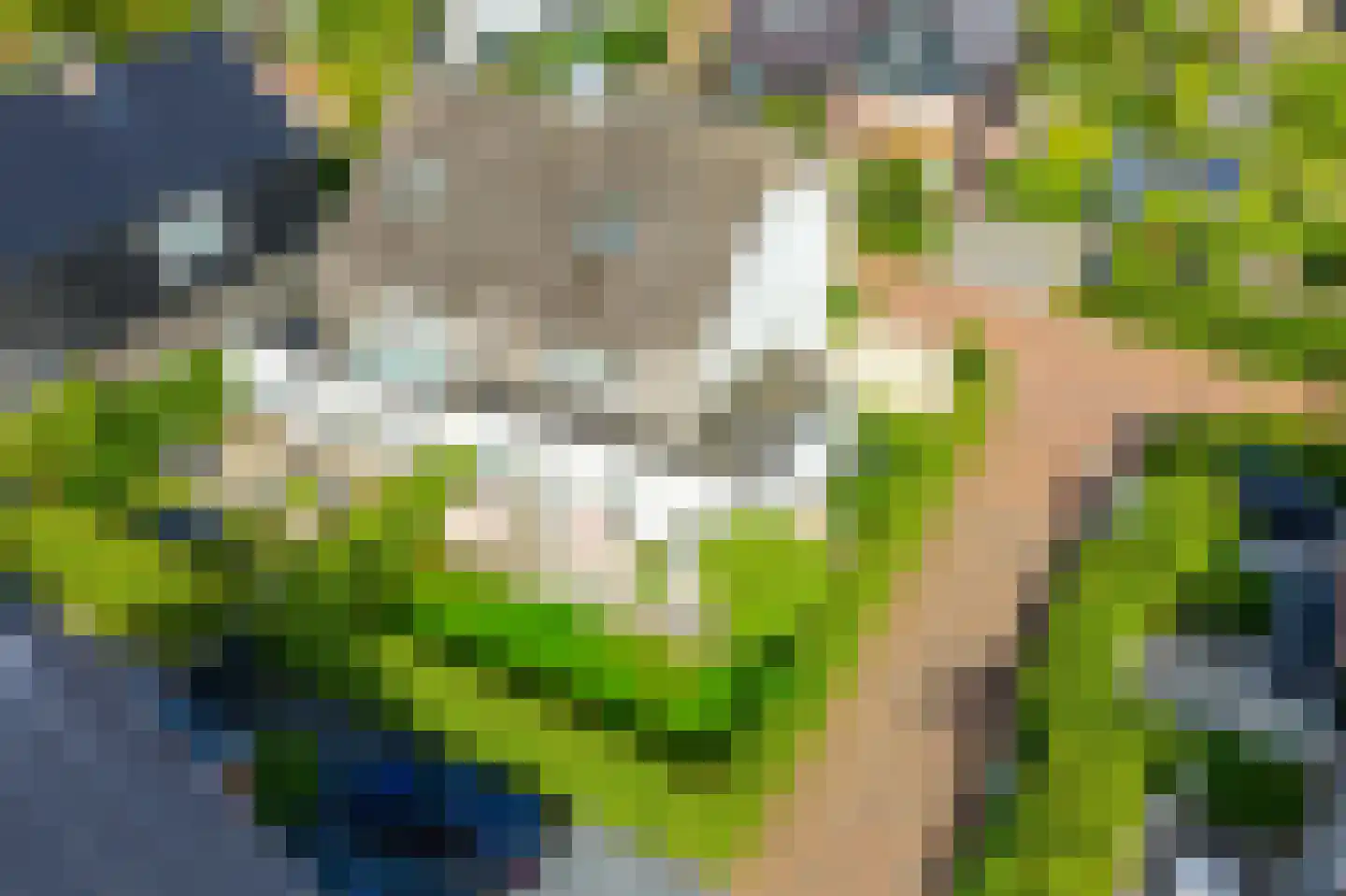 Laantje van Toonder 2 Blaricum thumbnail 42