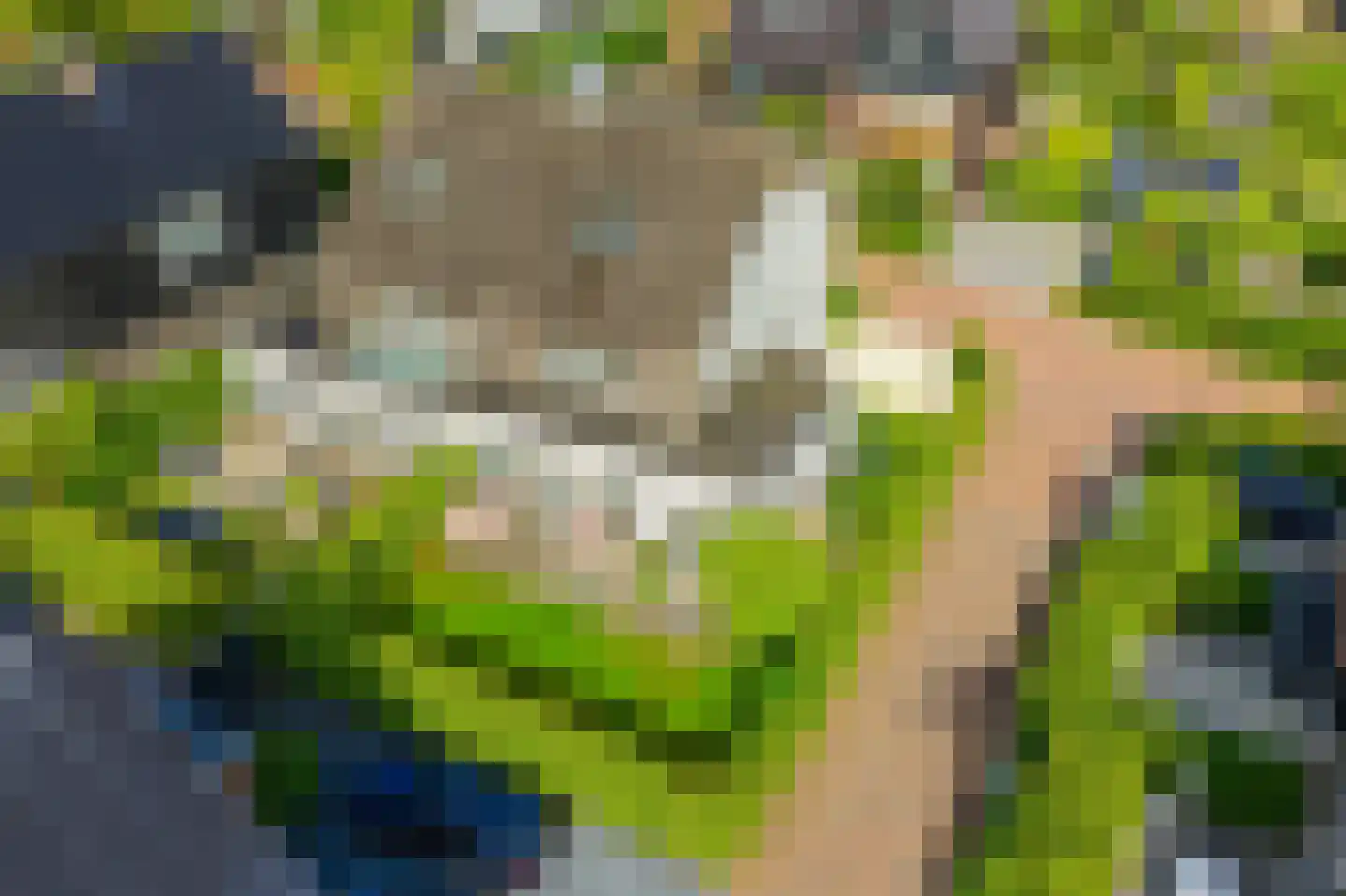 Laantje van Toonder 2 Blaricum thumbnail 46