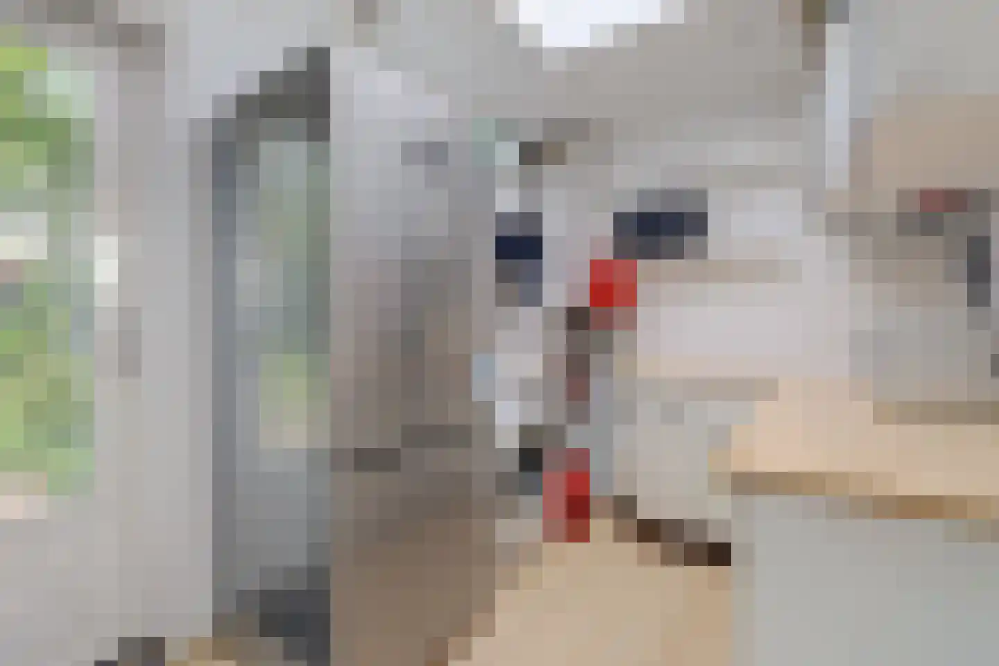 Laantje van Van Iperen 19 Leerdam thumbnail 25