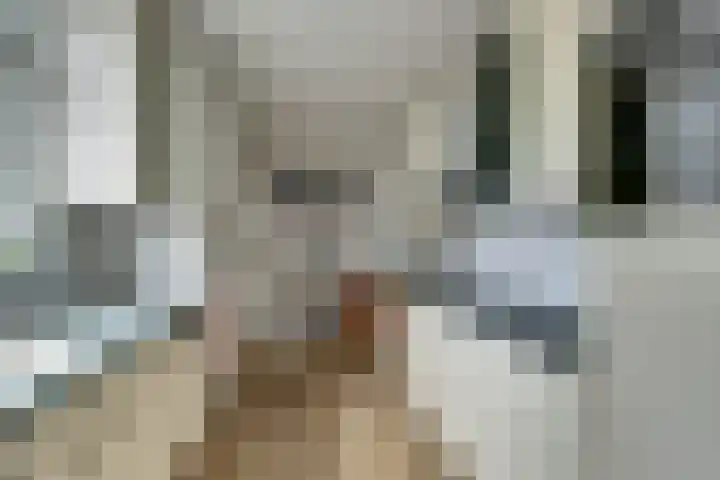 Laantje van Van Iperen 26 Leerdam thumbnail 16
