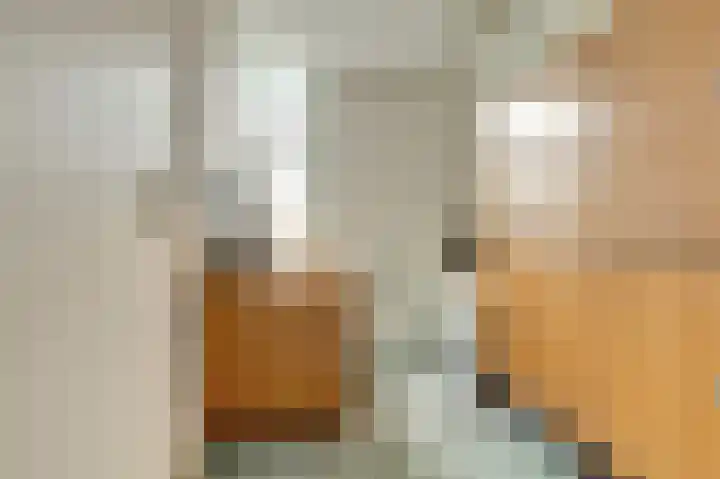 Laantje van Van Iperen 26 Leerdam thumbnail 25