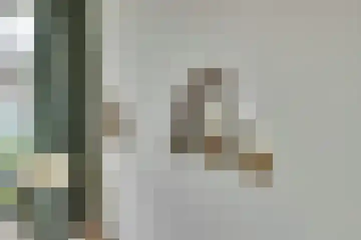 Laantje van Van Iperen 26 Leerdam thumbnail 7