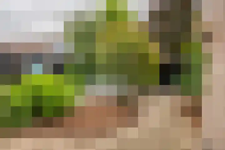 Laantje van Van Iperen 27 Leerdam thumbnail 11