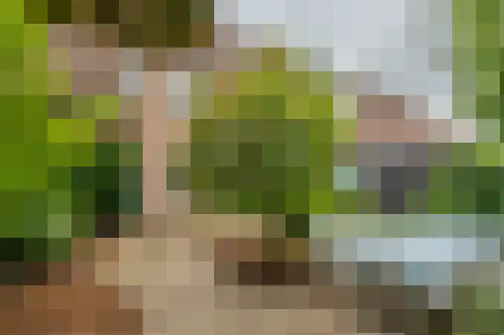 Laantje van Van Iperen 27 Leerdam thumbnail 13