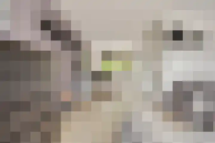 Laantje van Van Iperen 27 Leerdam thumbnail 7