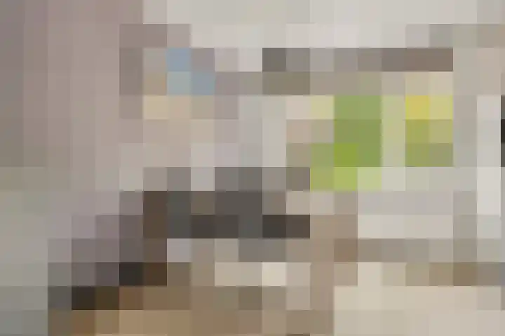 Laantje van Van Iperen 27 Leerdam thumbnail 8