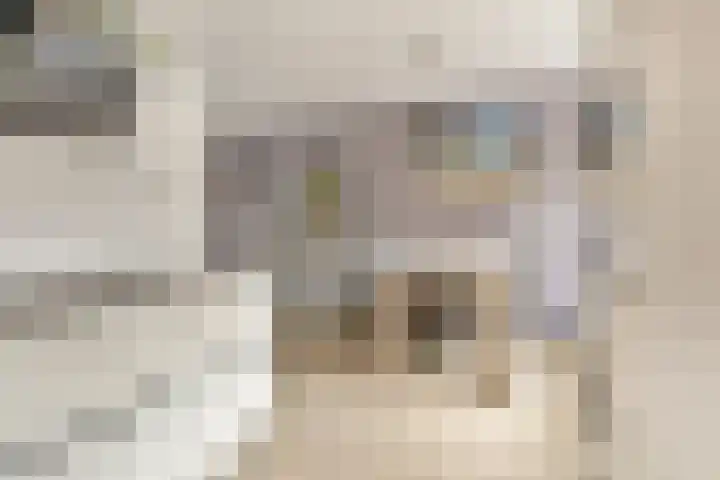 Laantje van Van Iperen 27 Leerdam thumbnail 9