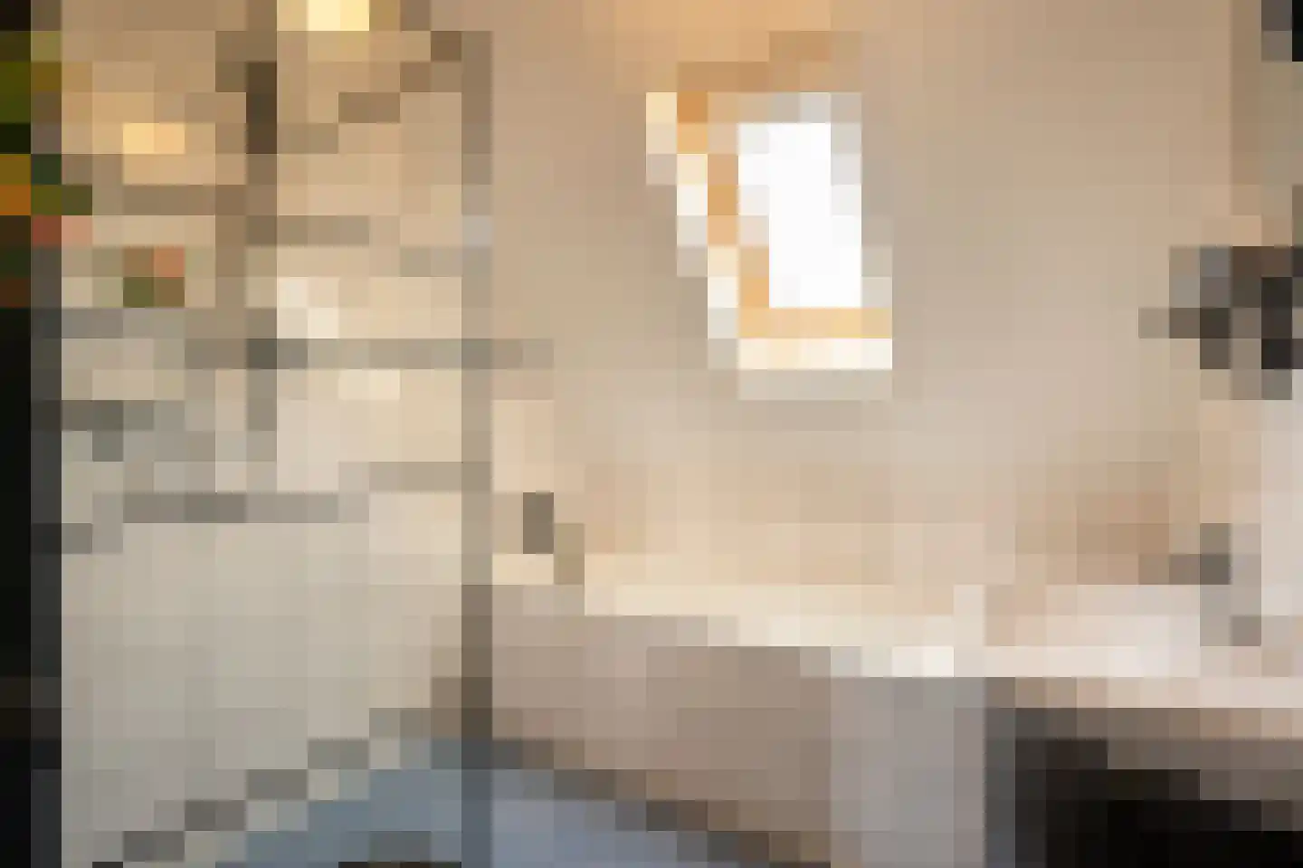Laantje van Van Iperen 43 Leerdam thumbnail 33