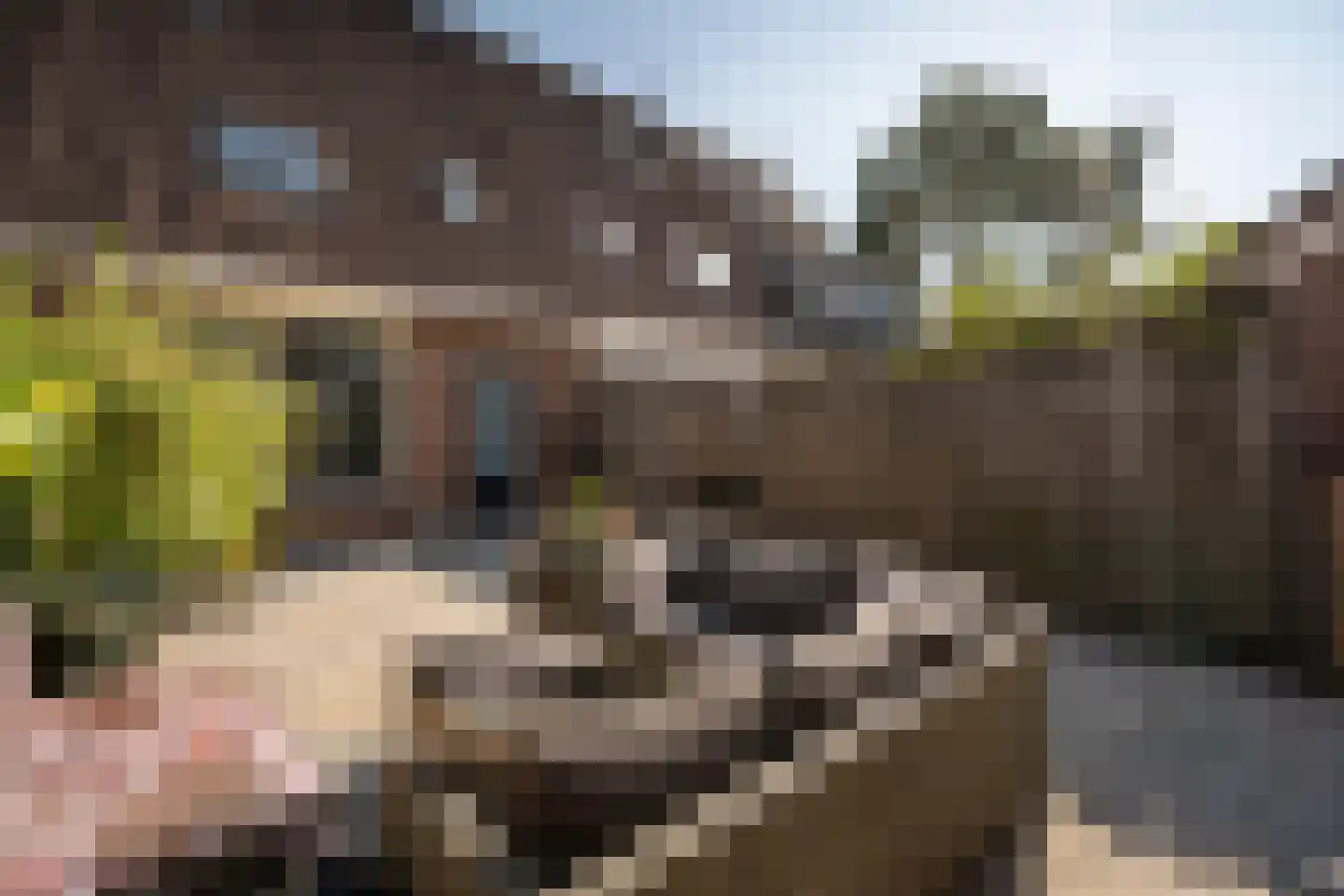 Laantje van Van Iperen 43 Leerdam thumbnail 45