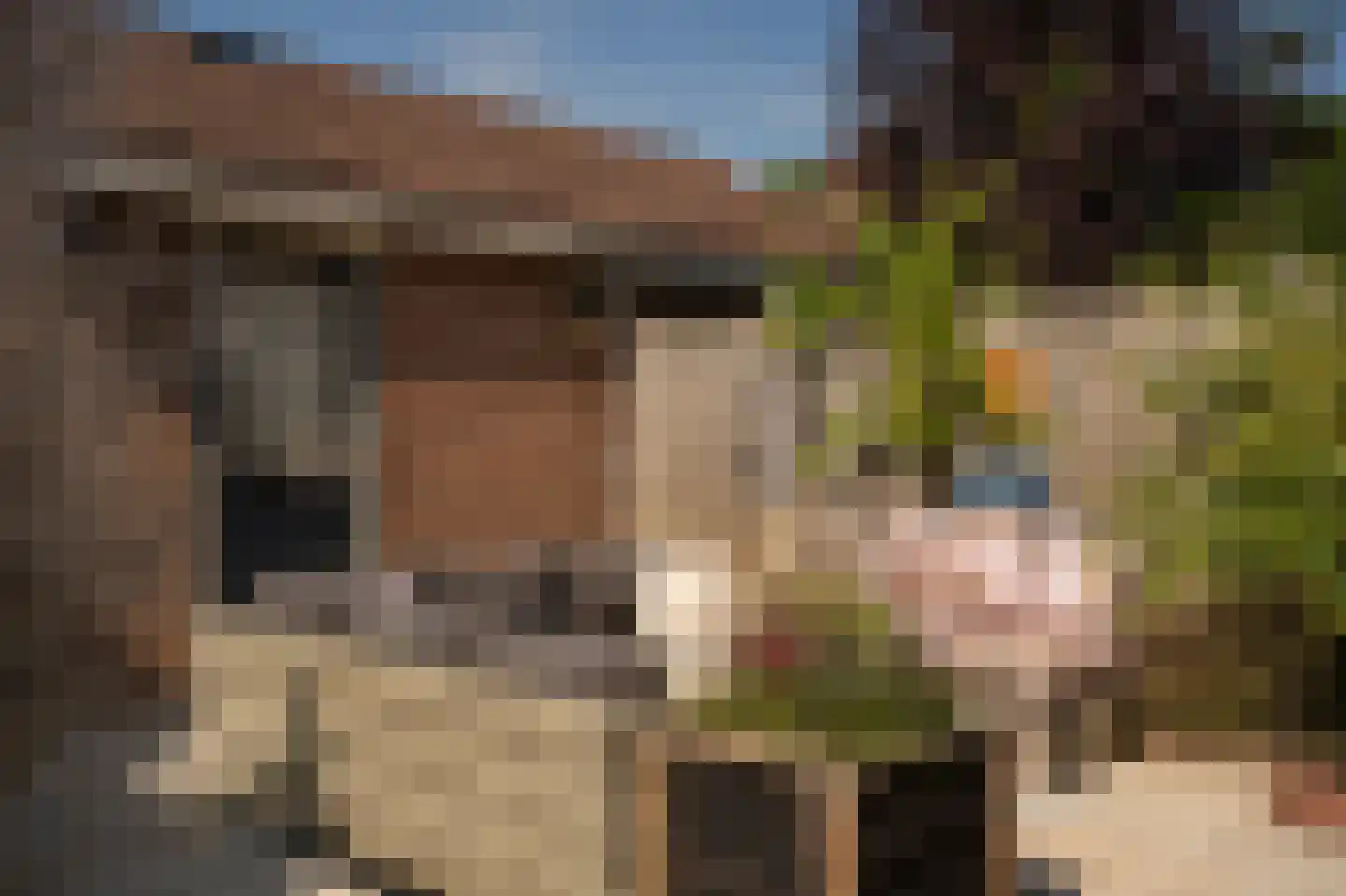 Laantje van Van Iperen 43 Leerdam thumbnail 46
