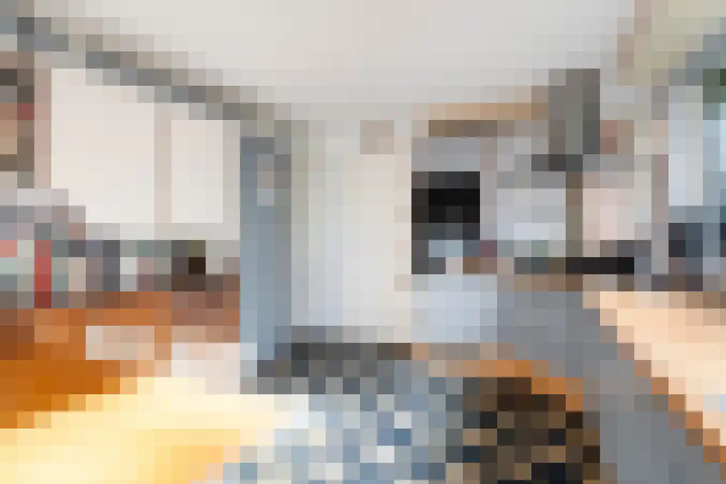 Laantje van Van Wissen 6 Voorschoten thumbnail 17
