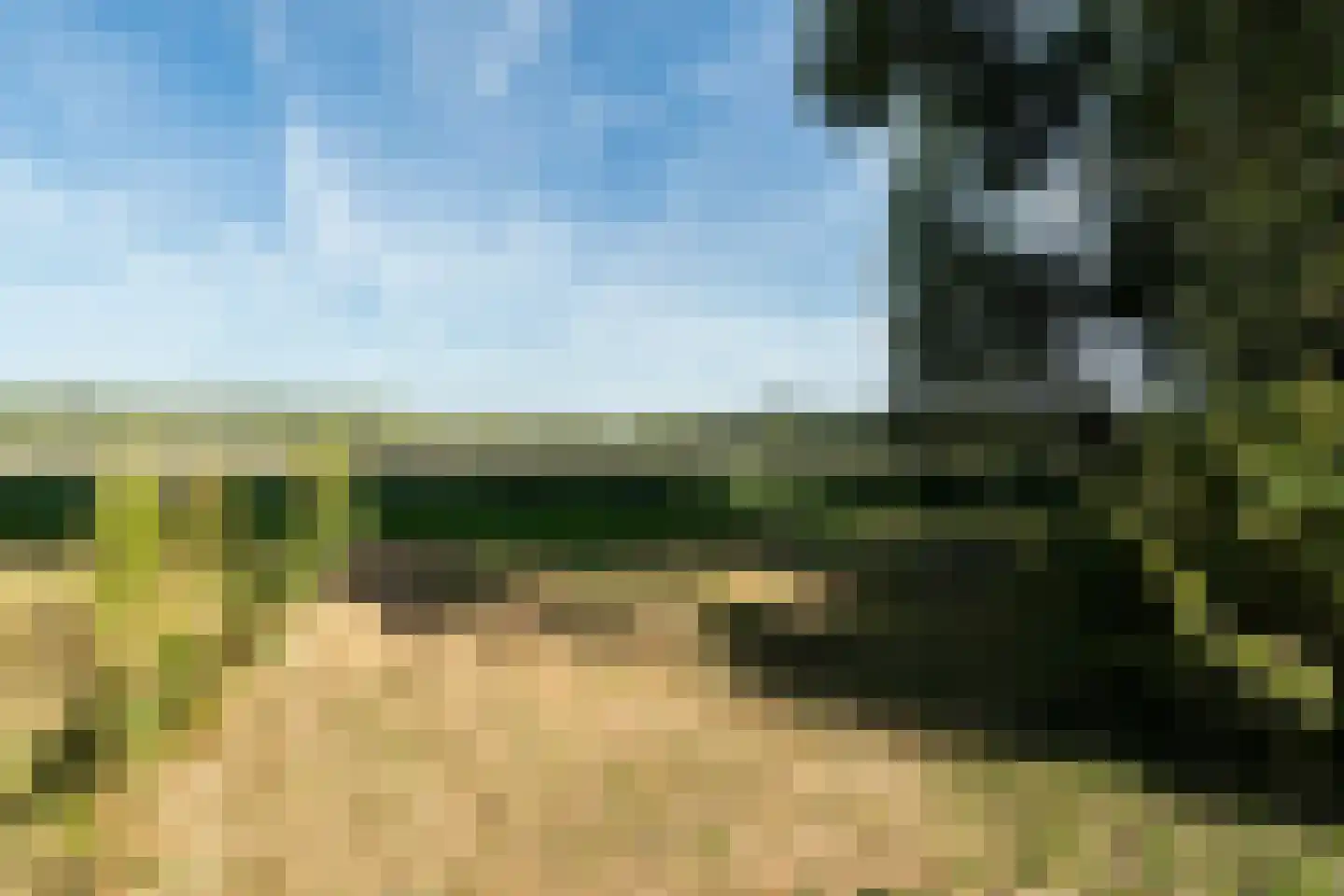 Laantje van Van Wissen 6 Voorschoten thumbnail 27
