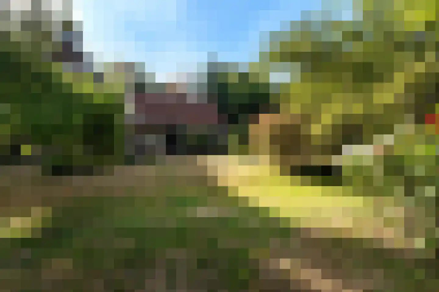 Laantje van Van Wissen 6 Voorschoten thumbnail 29