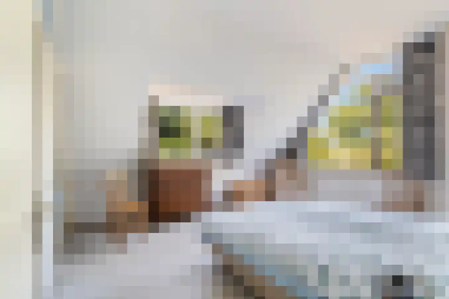 Laantje van Van Wissen 6 Voorschoten thumbnail 35